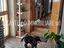 Immagine 20