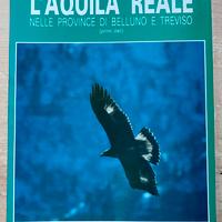 L’AQUILA REALE NELLE PROVINCE DI BELLUNO E TREVISO