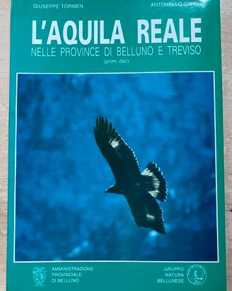 L’AQUILA REALE NELLE PROVINCE DI BELLUNO E TREVISO