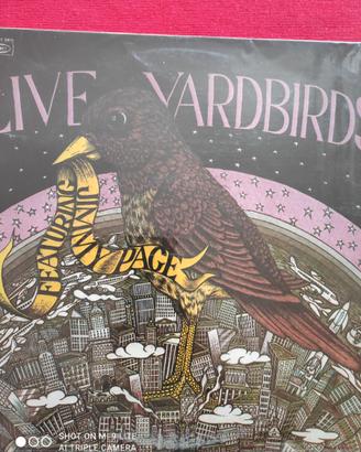 Live yardbirds