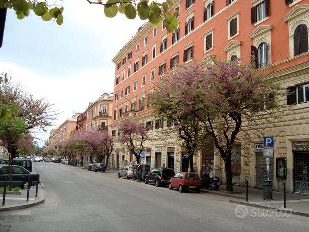 Quadrilocale adiacente UNIVERSITA' SAPIENZA