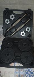 Set manubri domyos 