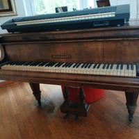 pianoforte quarto di coda