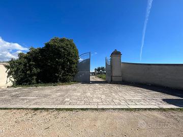 Terreno Agricolo Sava [1059VCG]