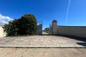 Terreno Agricolo Sava [1059VCG]