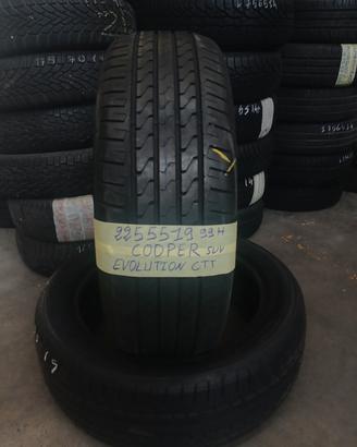 gomme 225 55 19 estivi