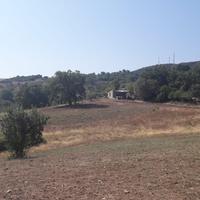 Vasto Terreno Agricolo