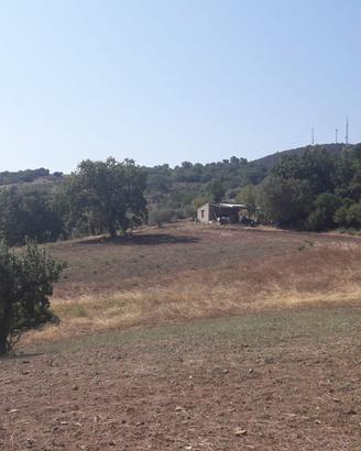 Vasto Terreno Agricolo