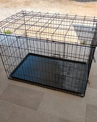 Kennel