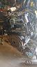 motore-fiat-1-3-mj-85cv-sigla-199b4000