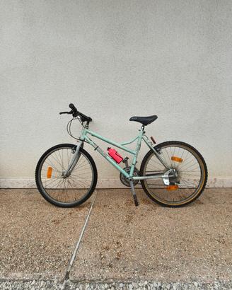 Mountain bike vintage 