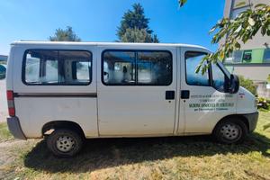 Fiat DUCATO  9 posti anno 2000