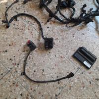 cablaggio centralina e blocchetti zx10r 2016-2020