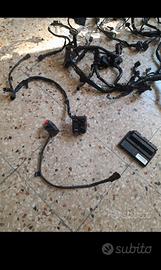 cablaggio centralina e blocchetti zx10r 2016-2020