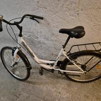 bicicletta da donna