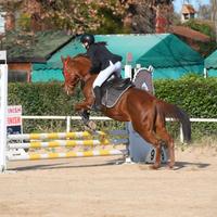 Salto , scuola e passeggiate