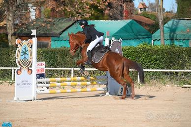 Salto , scuola e passeggiate