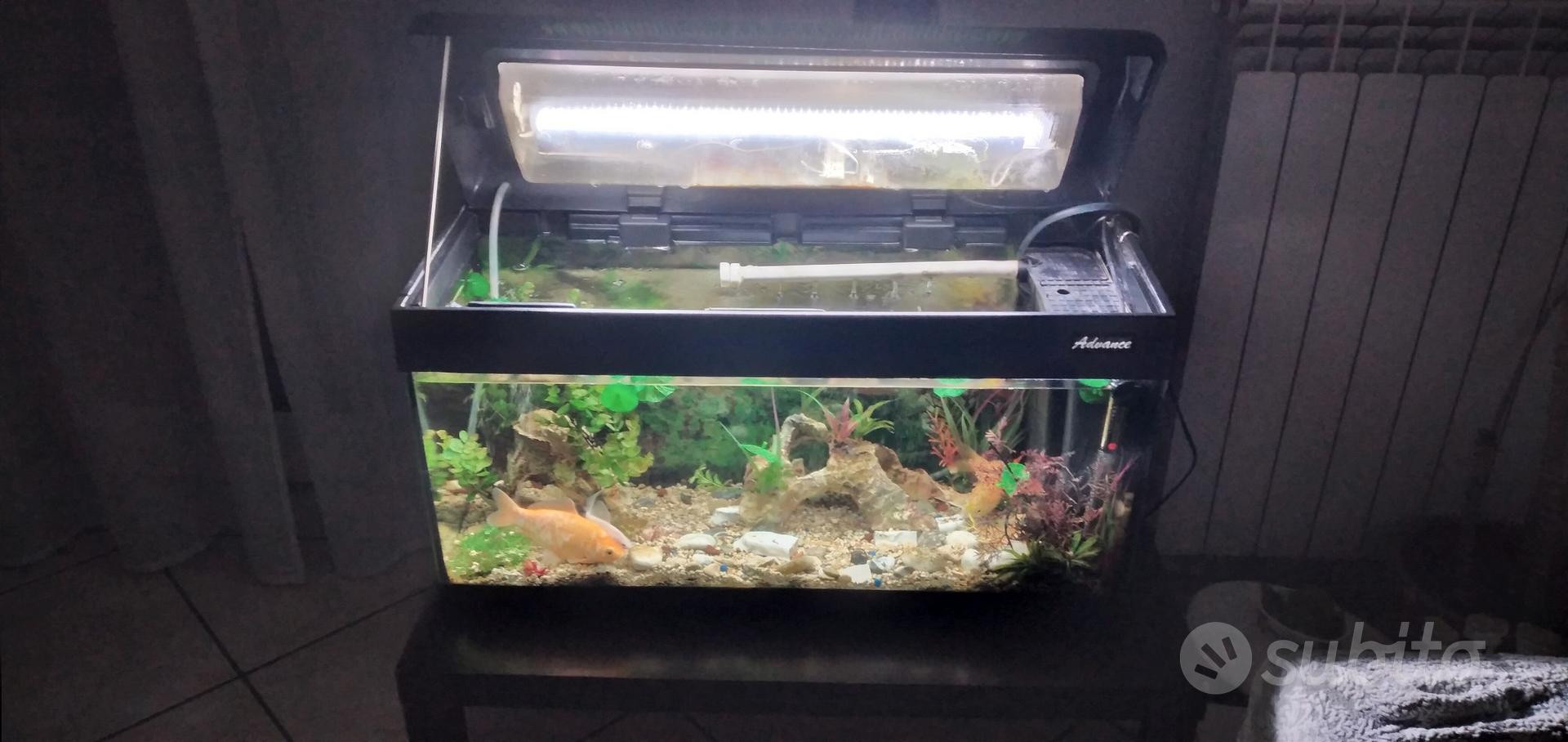 acquario 80 x 50 x40 80 litri completo di tutto - Arredamento e Casalinghi  In vendita a Napoli