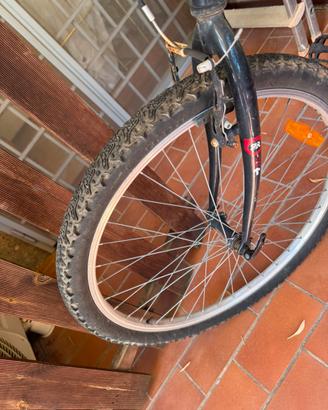 Bici uomo