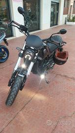 Benelli leoncino 500 trail