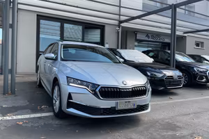Skoda Octavia 2.0 TDI 150 CV DSG Wagon Selection -