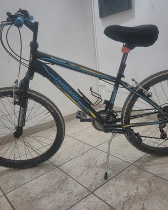 Bici Lombardo tropea 24