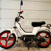 Piaggio Altro modello - 1982