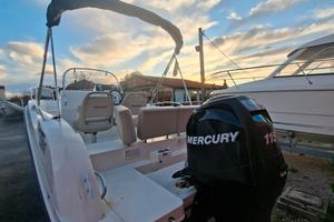 QUICKSILVER 605 ACTIV OPEN +MERCURY 115 4-Tempi