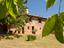 Immagine 7