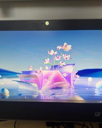 PC All-in-One Lenovo ThinkCentre E63z +Staffa Muro