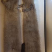 sciarpa di visone  vintage 