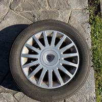 Gomme e cerchi Lancia Musa