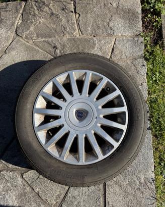 Gomme e cerchi Lancia Musa