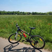 Mountain Bike Specialized