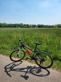 Mountain Bike Specialized