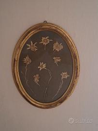 Composizione di fiori di stella alpina