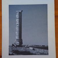 Rassegna n. 51 rivista di architettura