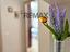 Immagine 25