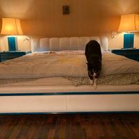 Arredo camera da letto vintage