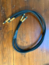 Cavo rca Kubala Sosna Expression