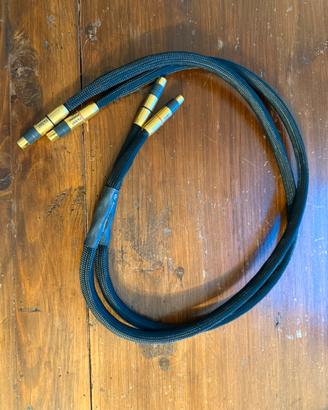 Cavo rca Kubala Sosna Expression