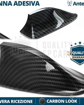 Antenna PINNA SQUALO per RENAULT Fibra di CARBONIO