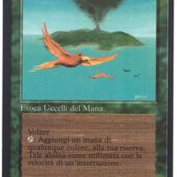 Magic The Gathering Uccelli del Paradiso Italiano
