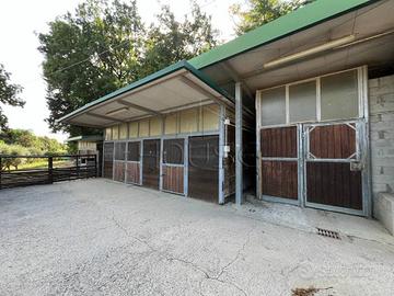 Attività / Licenza di 6762 m² con più di 5 locali 