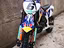 Immagine 7