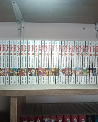 TORIKO manga dall'1 al 41 + gourmet hunting book