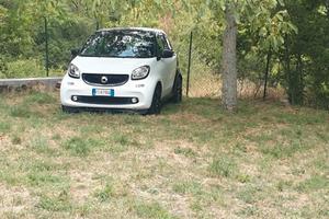Smart 453  super passion