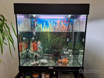 ACQUARIO JUWEL 120 + POMPA PRATIKO