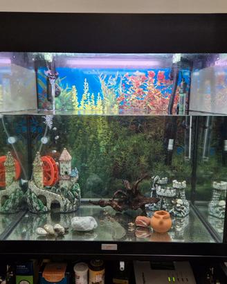ACQUARIO JUWEL 120 + POMPA PRATIKO