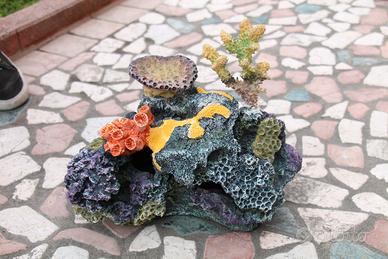 Kit per acquario (corallo + pompetta + riscaldator